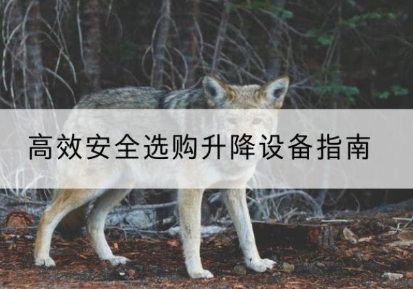 怀化升降货梯厂家推荐-*安全选购升降设备指南