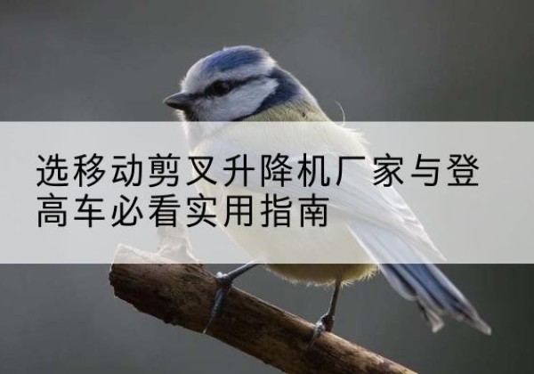 怀化电动升降机厂家-选移动剪叉升降机厂家与登高车必看实用指南